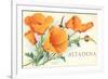 California Poppies, Altadena-null-Framed Premium Giclee Print