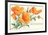 California Poppies, Altadena-null-Framed Premium Giclee Print