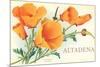 California Poppies, Altadena-null-Mounted Premium Giclee Print