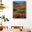 California Poppies and Globe Gilia, Tehachapi Mountains, California, USA-Charles Gurche-Premium Photographic Print displayed on a wall