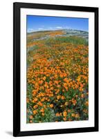 California Poppies, Antelope Valley, California, USA-Russ Bishop-Framed Premium Photographic Print