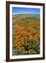 California Poppies, Antelope Valley, California, USA-Russ Bishop-Framed Photographic Print