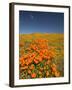 California Poppies, Antelope Valley, Lancaster, California-Terry Eggers-Framed Photographic Print