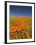 California Poppies, Antelope Valley, Lancaster, California-Terry Eggers-Framed Photographic Print