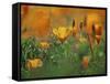 California Poppies, California, Usa-Connie Bransilver-Framed Stretched Canvas