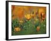 California Poppies, California, Usa-Connie Bransilver-Framed Photographic Print