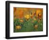 California Poppies, California, Usa-Connie Bransilver-Framed Photographic Print