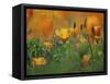 California Poppies, California, Usa-Connie Bransilver-Framed Stretched Canvas