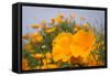 California Poppies in Montana de Oro SP, Los Osos, California-Rob Sheppard-Framed Stretched Canvas