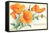 California Poppies, Pasadena, California-null-Framed Stretched Canvas