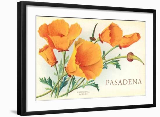 California Poppies, Pasadena, California-null-Framed Art Print