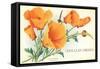 California Poppies, San Luis Obispo-null-Framed Stretched Canvas