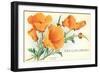 California Poppies, San Luis Obispo-null-Framed Art Print