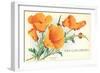 California Poppies, San Luis Obispo-null-Framed Art Print