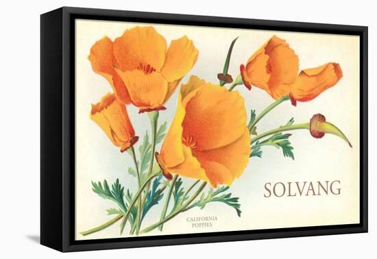 California Poppies, Solvang-null-Framed Stretched Canvas
