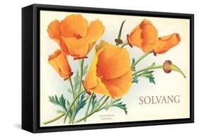 California Poppies, Solvang-null-Framed Stretched Canvas