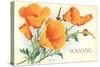 California Poppies, Solvang-null-Stretched Canvas