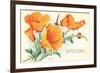 California Poppies, Solvang-null-Framed Art Print