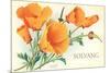 California Poppies, Solvang-null-Mounted Art Print