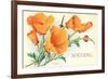 California Poppies, Solvang-null-Framed Premium Giclee Print