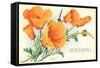 California Poppies, Solvang-null-Framed Stretched Canvas