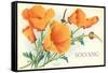 California Poppies, Solvang-null-Framed Stretched Canvas
