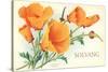 California Poppies, Solvang-null-Stretched Canvas