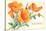 California Poppies, Solvang-null-Stretched Canvas