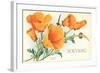 California Poppies, Solvang-null-Framed Art Print