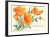 California Poppies, Solvang-null-Framed Art Print