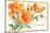 California Poppies, Solvang-null-Mounted Art Print