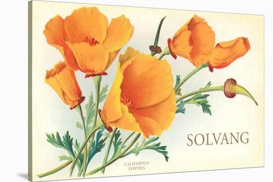 California Poppies, Solvang-null-Stretched Canvas