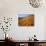 California Poppies, Tehachapi Mountains, California, USA-Charles Gurche-Photographic Print displayed on a wall