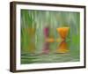 California Poppies-Steve Satushek-Framed Art Print