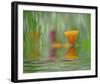 California Poppies-Steve Satushek-Framed Art Print