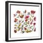 California Poppies-Kiana Mosley-Framed Art Print