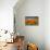 California Poppies-Terry Eggers-Stretched Canvas displayed on a wall