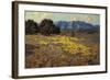 California Poppies-Granville Redmond-Framed Giclee Print