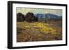 California Poppies-Granville Redmond-Framed Giclee Print