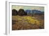 California Poppies-Granville Redmond-Framed Giclee Print