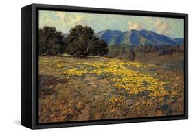 California Poppies-Granville Redmond-Framed Stretched Canvas