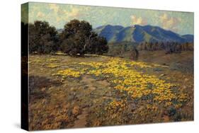 California Poppies-Granville Redmond-Stretched Canvas