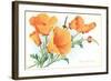 California Poppies-null-Framed Art Print