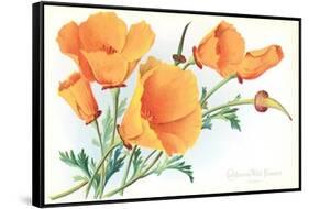 California Poppies-null-Framed Stretched Canvas