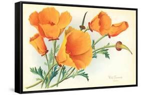 California Poppies-null-Framed Stretched Canvas