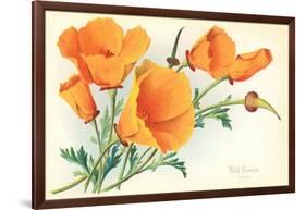 California Poppies-null-Framed Art Print