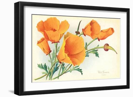 California Poppies-null-Framed Art Print