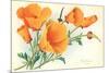 California Poppies-null-Mounted Premium Giclee Print