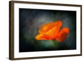 California Poppy 2-Ursula Abresch-Framed Photographic Print