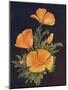 'California Poppy', c1915, (1915)-Emma Graham Clock-Mounted Giclee Print